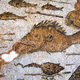 Illustration for article titled Roman art reveals regular fish were once full-fledged sea monsters